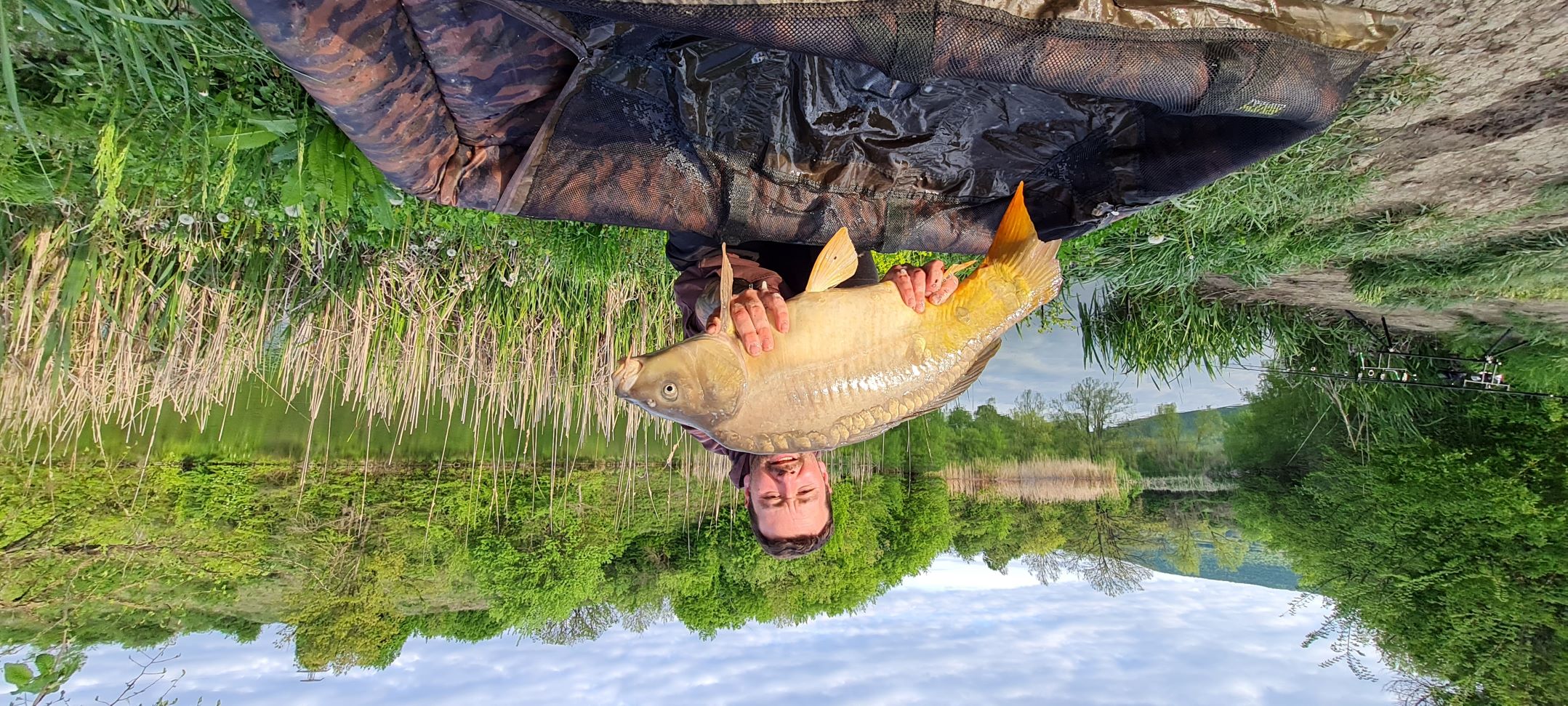Лудите шарани на Зелево перо!