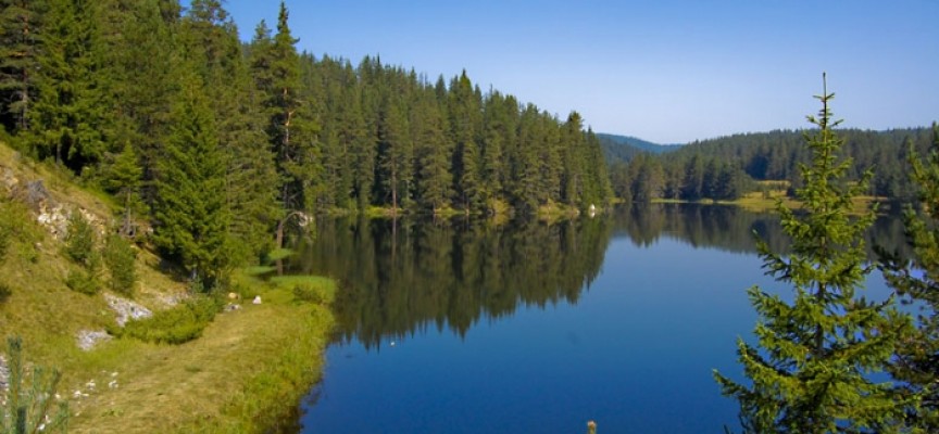 Галерия : Беглика 3