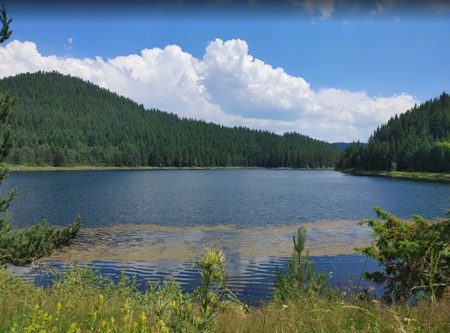 Галерия : Беглика 1