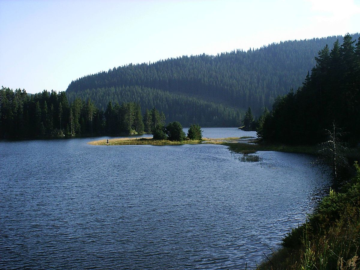 Галерия : Беглика 0