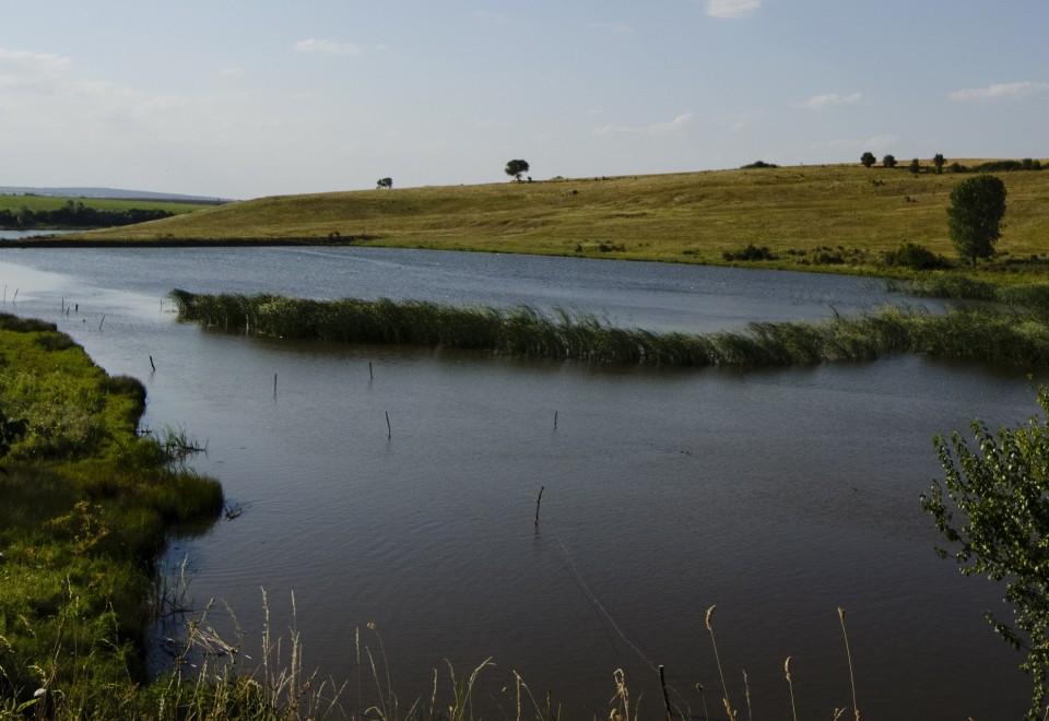 Галерия : Бели Лом 0