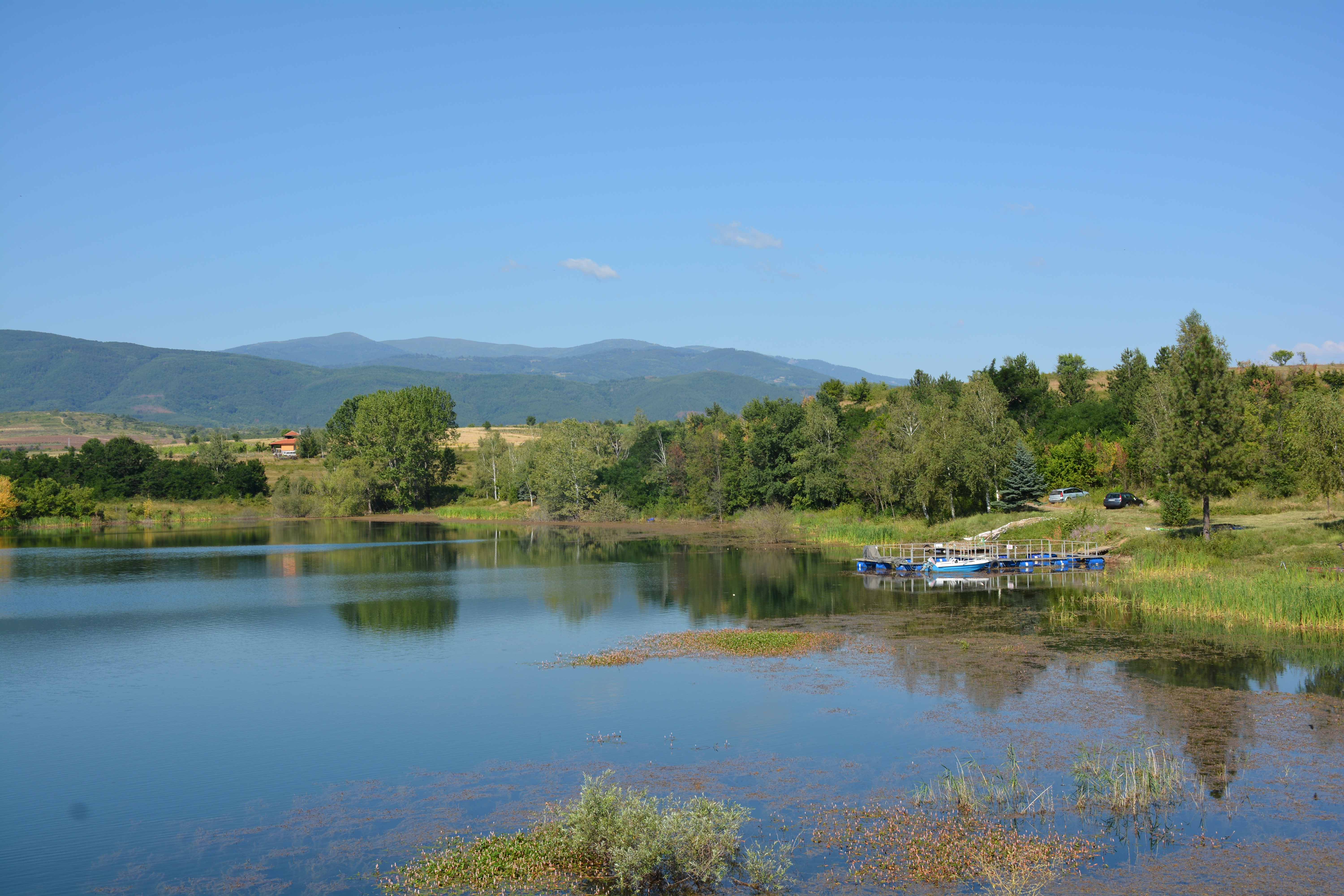 Галерия : Берсин 0