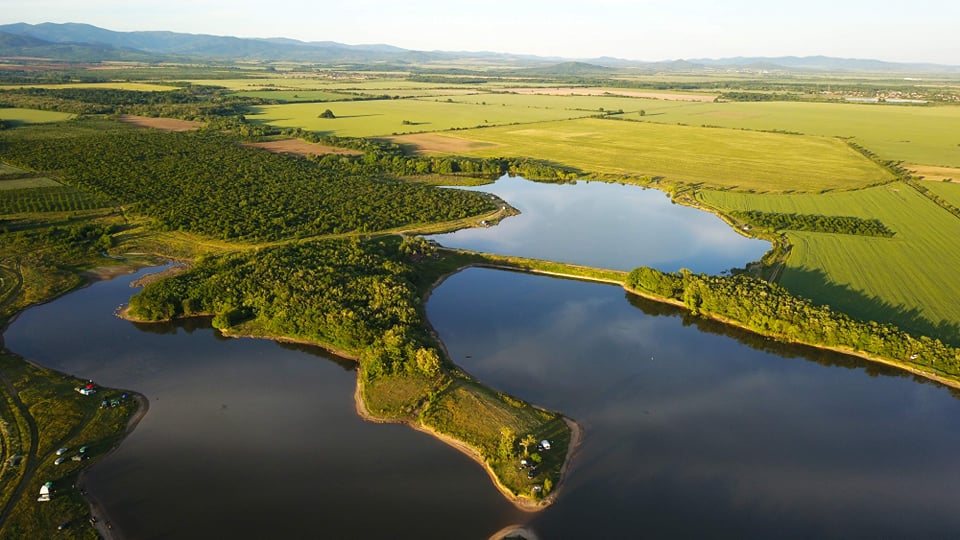 Галерия : Борец 0