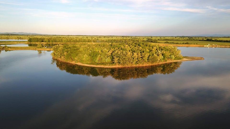 Галерия : Борец 1