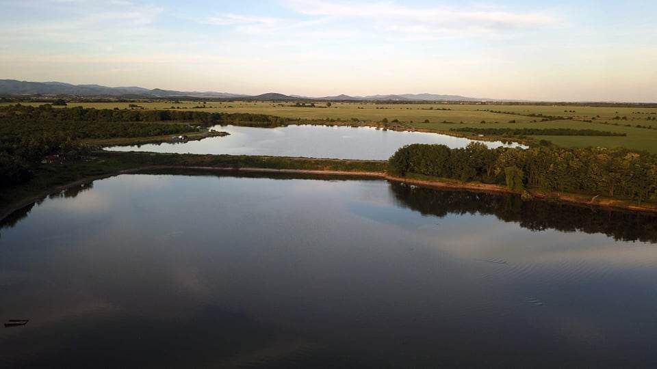 Галерия : Борец 2