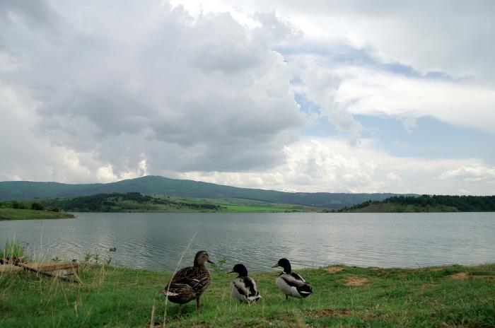 Язовир Долна Диканя