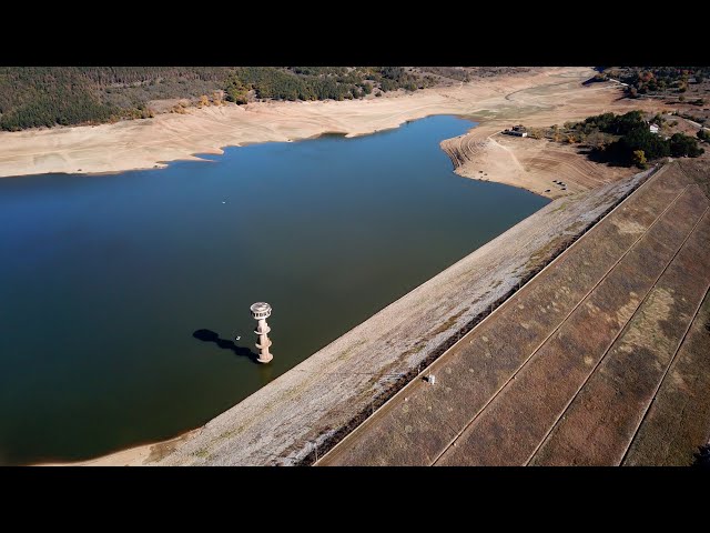 Галерия : Домлян 1