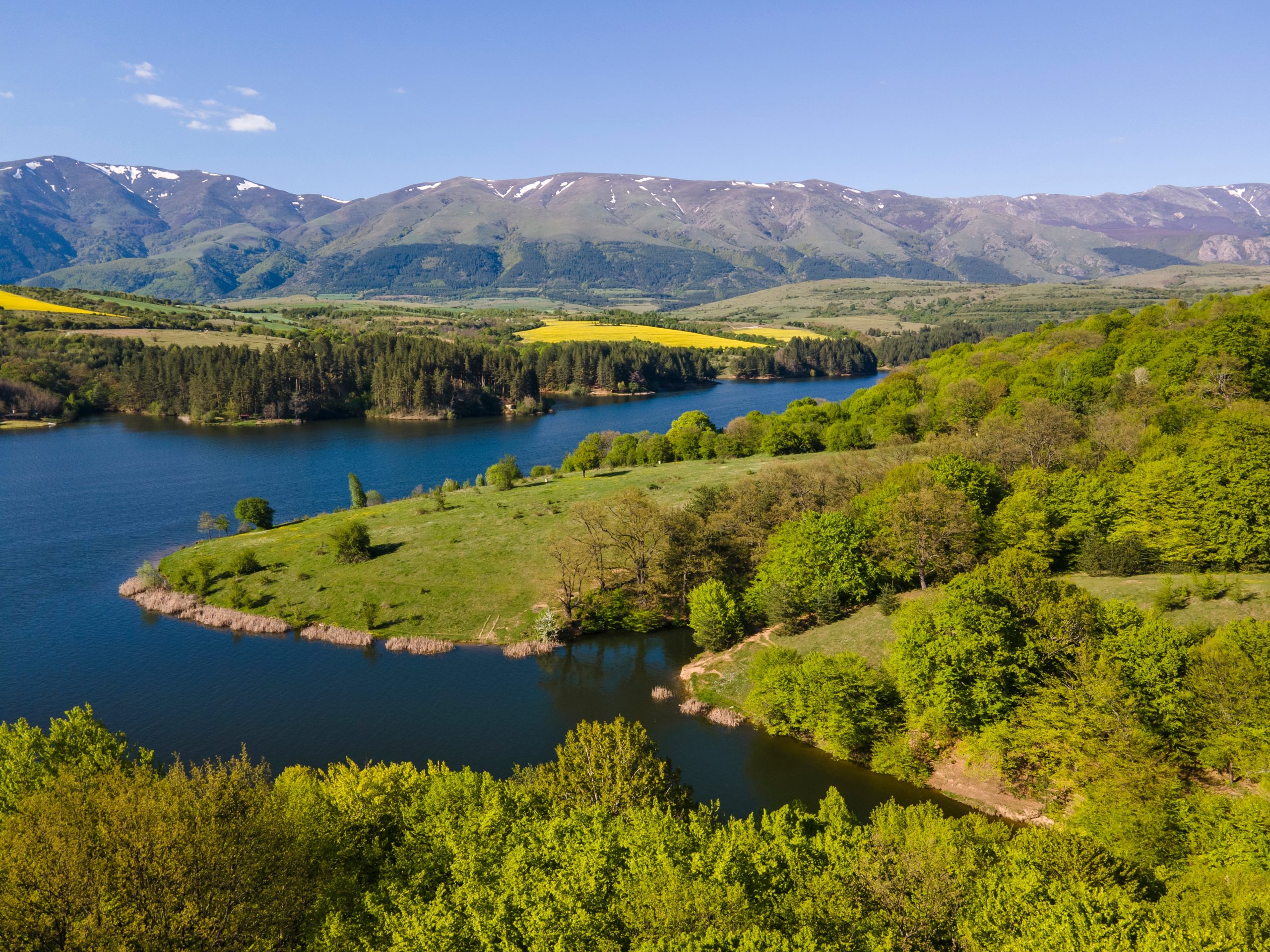 Галерия : Душанци 0