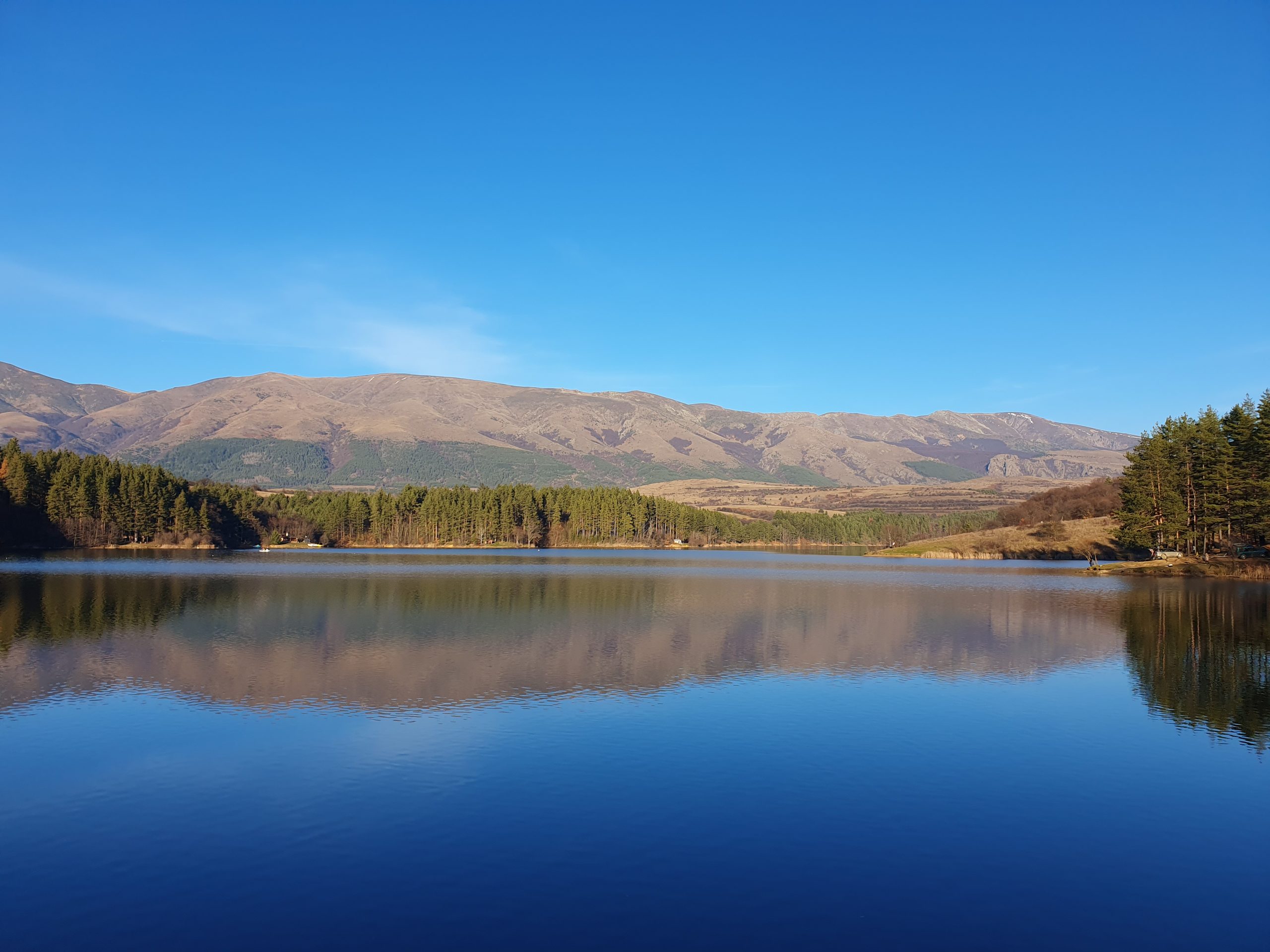 Галерия : Душанци 2