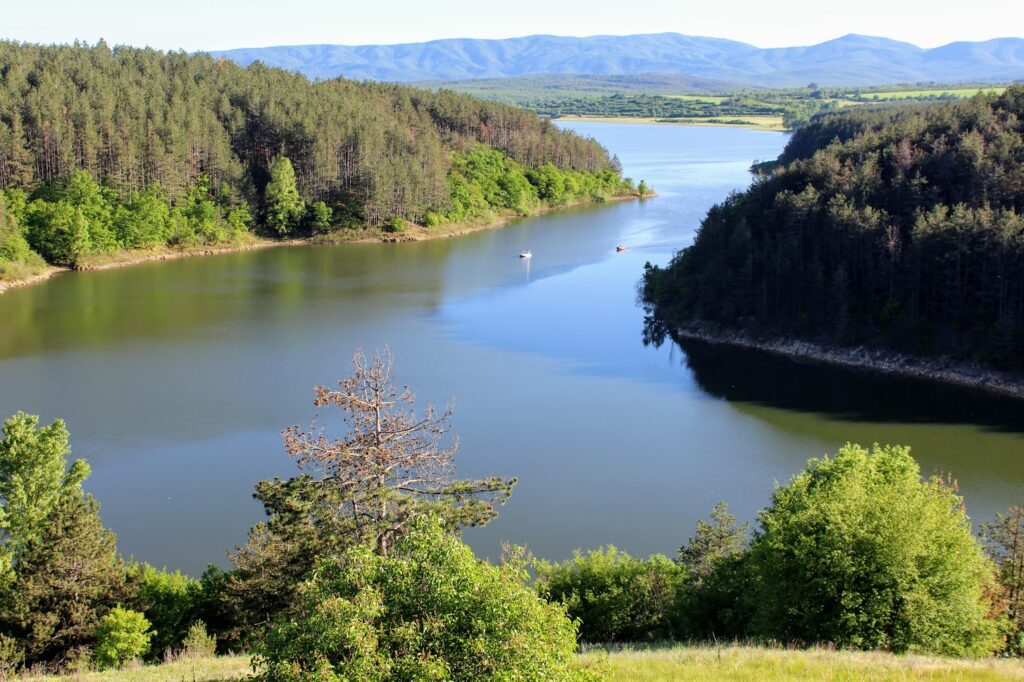 Галерия : Копринка 4