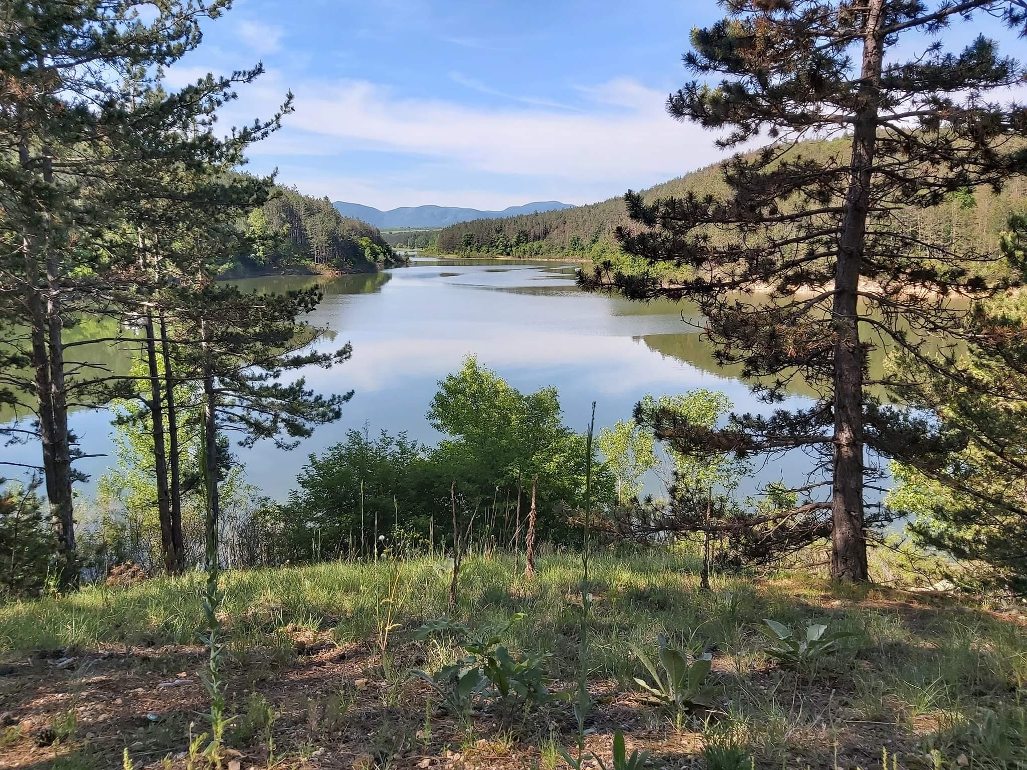 Галерия : Копринка 3