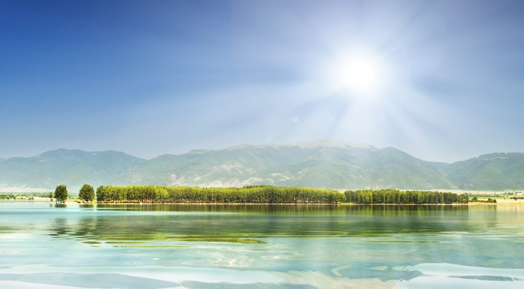 Галерия : Копринка 5