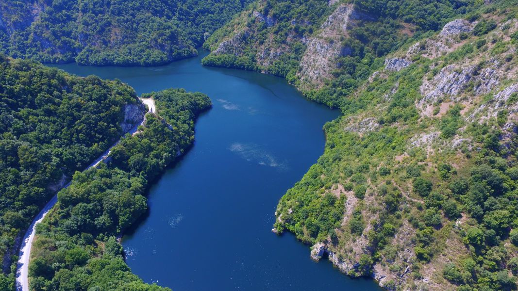 Галерия : Кричим 0