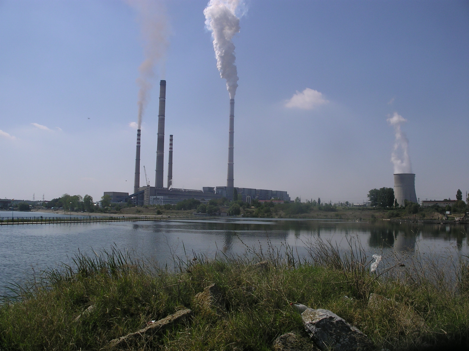 Галерия : Овчарица 5