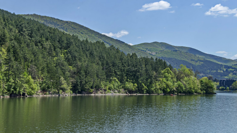 Галерия : Овчарица 3