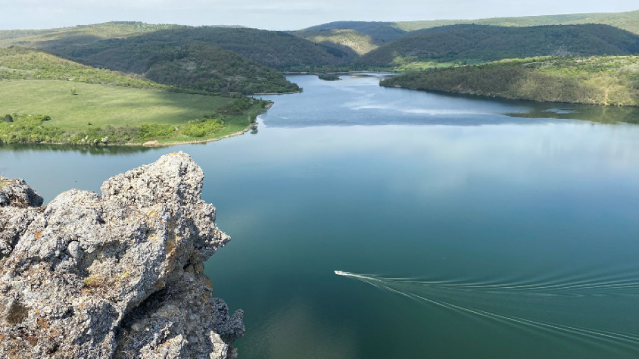 Галерия : Пчелина 4