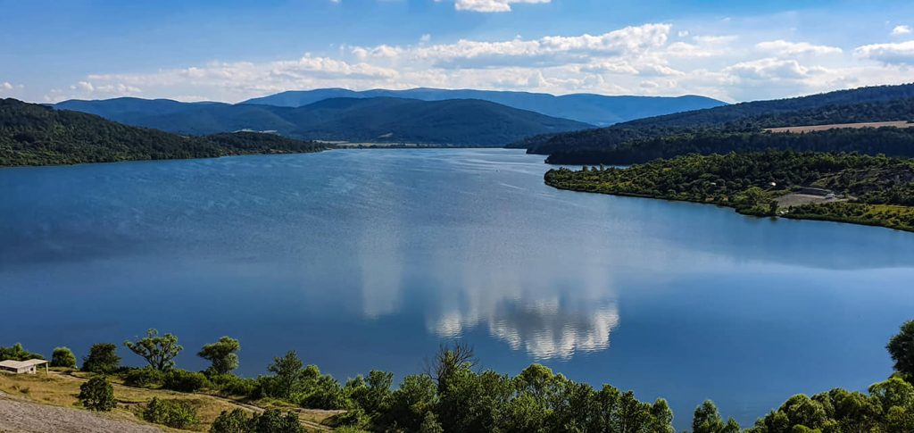 Галерия : Пчелина 2