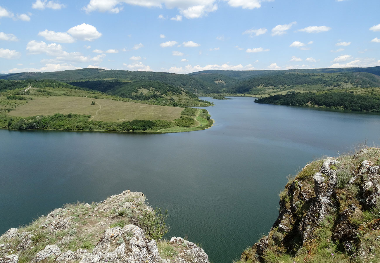 Галерия : Пчелина 3