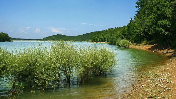 Галерия : Ясна поляна 2