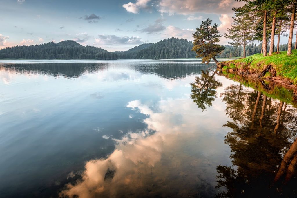 Галерия : Широка поляна 3