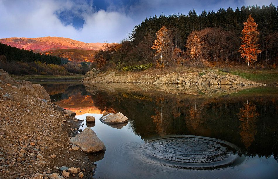 Галерия : Студена 3