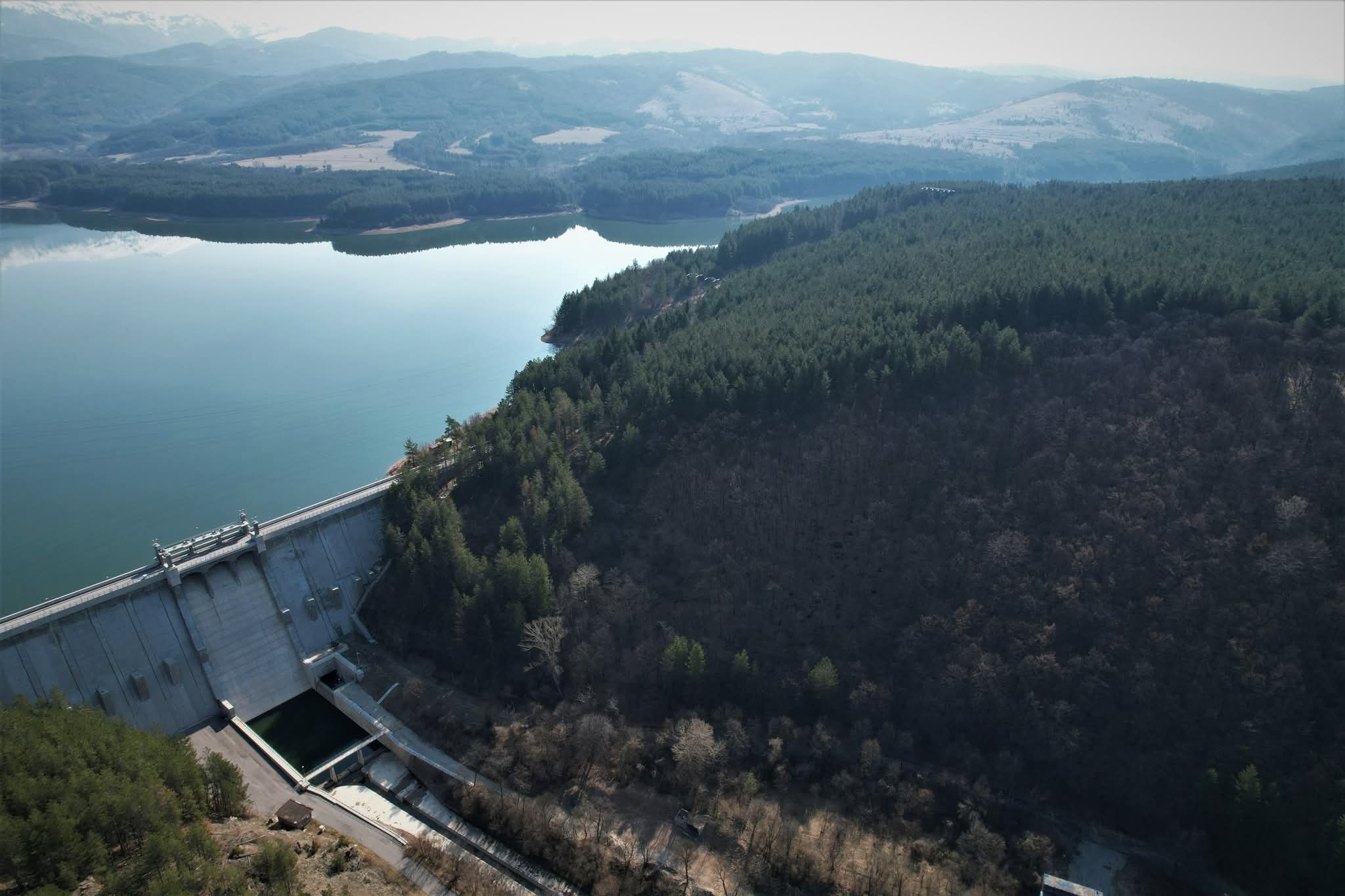 Галерия : Студена 0