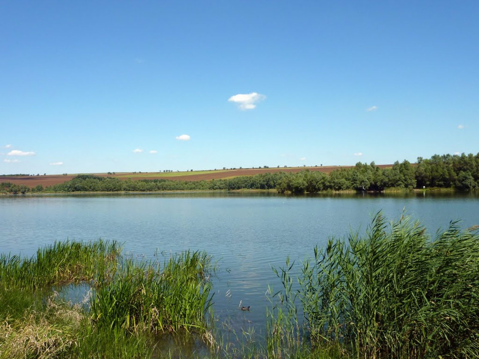 Галерия : Съединение 0