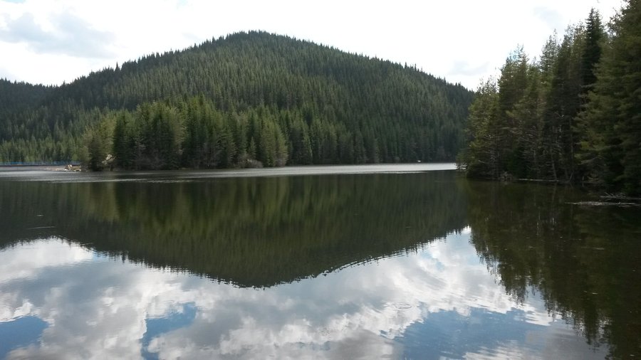 Галерия : Тошков чарк 1