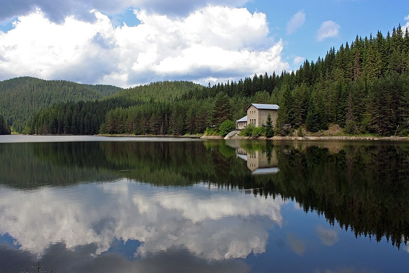 Галерия : Тошков чарк 0