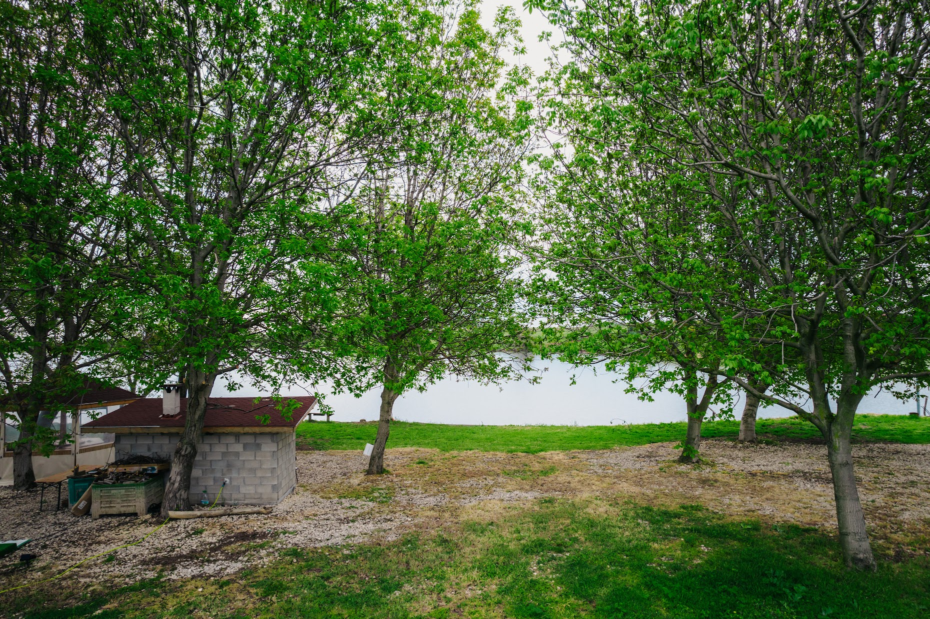 Галерия : Вълчитрън 1