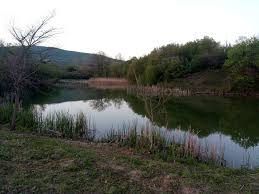 Галерия : Зелево Перо 0